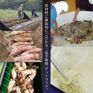 【芋焼酎】 三島 芋焼酎 チットラッツ 500ml 2本 静岡県 三島市