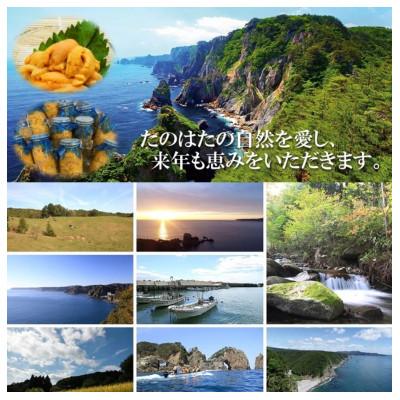 ふるさと納税 田野畑村 【予約・7月中旬発送】岩手・三陸　小さな村のきれいな海で育った　瓶入り　濃厚生うに(160g×2本) |  | 03