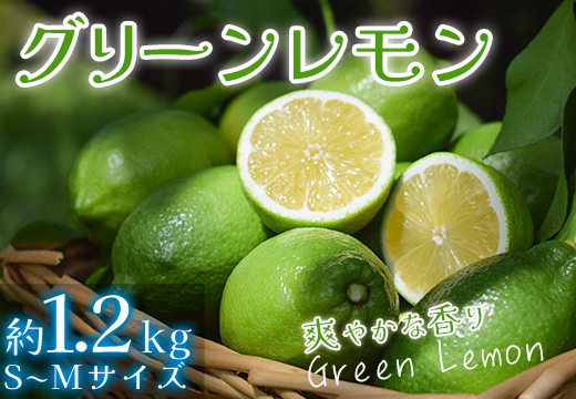 【高知県 大月町産】爽やかな香りの温室グリーンレモン　1.2kg