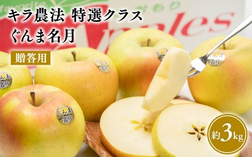 
                  ≪11～12月発送≫ 完熟りんご  ぐんま名月 約3kg 贈答用【青森県 平川市 夢ファクトリー】 青森県産 キラ農法【hi-0008-006】  
                