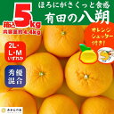 【ふるさと納税】八朔 (はっさく) 玉ぞろい 箱込 5kg(内容量約 4.4kg) 2L L Mサイズのいずれか 秀品 優品 混合 和歌山県産 産地直送【おまけ付き】【みかんの会】 | みかん 八朔 和歌山 大玉 秀 優 産地直送 和歌山県 有田川町 ふるさと納税 返礼品 故郷納税