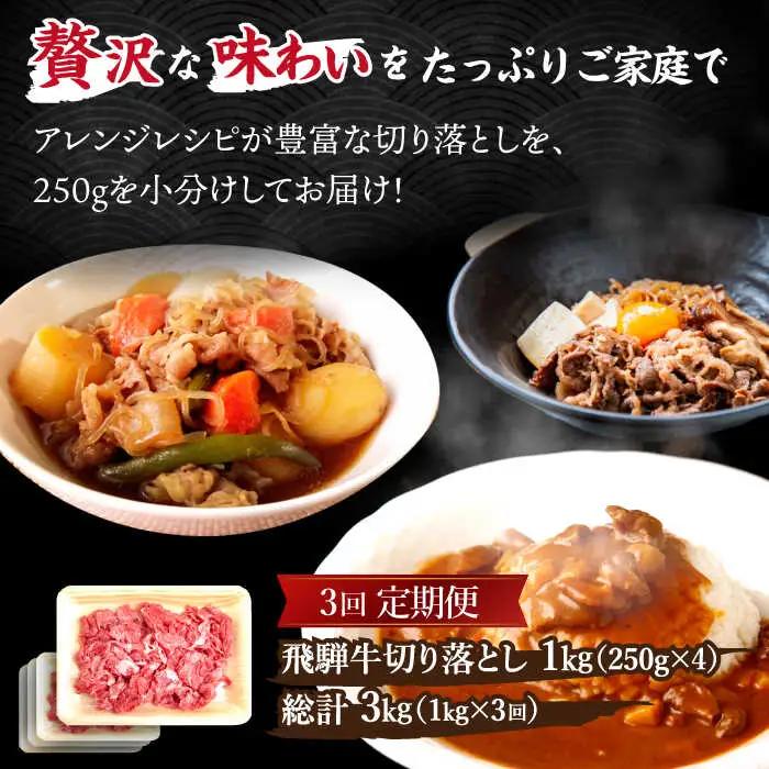  【6回定期便】【飛騨牛】切り落とし 総計6kg 〈1回あたり〉1kg (250g×4) [TDC015]飛騨牛 切り落とし