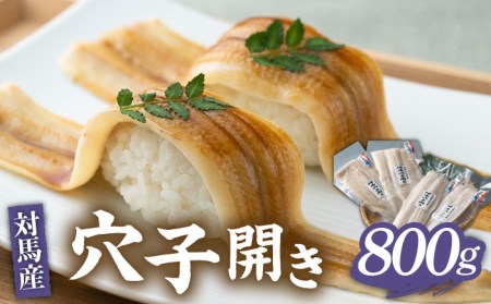 対馬 穴子 開き 800g [WAD012] アナゴ 冷凍 新鮮 あなご 穴子重  