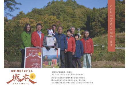 【令和５年産】浜田・旭のうまいもん「坂本」食べ比べ3種セット 米 お米 精米 白米 ごはん 新生活 応援 準備 お取り寄せ 特産 つや姫 こしひかり きぬむすめ 食べ比べ セット 【1156】