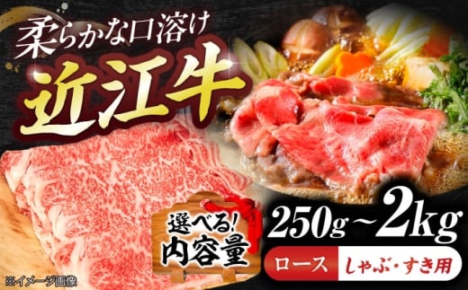 近江牛ロース（すき・しゃぶ）500g  栗東市 / 有限会社 岡山 [BIBE078]