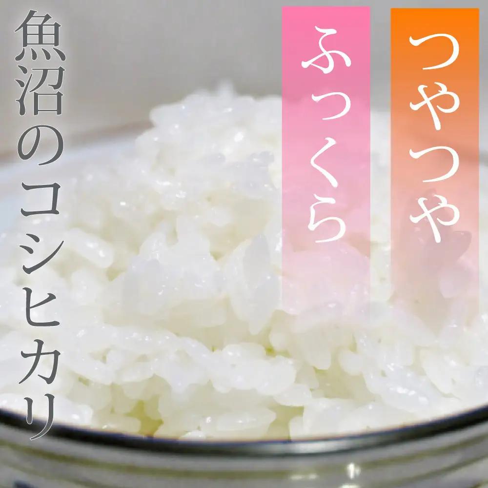 【定期便6回】令和7年産 新潟県 魚沼産 無洗米 コシヒカリ5kg 精米 一等米  天糧