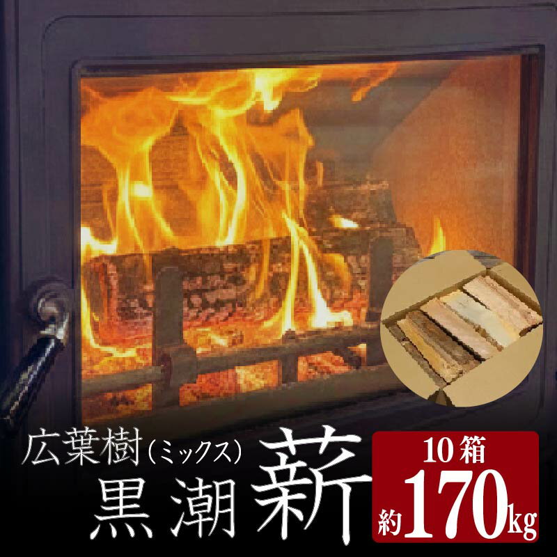 【ふるさと納税】 薪 10箱 170kg まき 焚火 焚き火 薪ストーブ用 薪ストーブ キャンプ キャンプ用品 アウトドア アウトドアグッズ バーベキュー BBQ キャンプファイヤー 家庭用 広葉樹 高知県 黒潮町