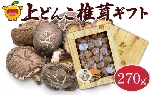 乾燥椎茸 上どんこ椎茸ギフト 270g 乾燥椎茸 乾燥 しいたけ 干し椎茸 乾し椎茸 乾燥野菜 大分県 津久見市 九州産野菜 熨斗対応