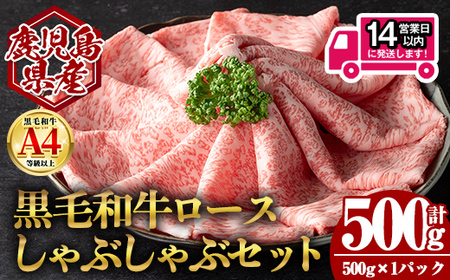 ＜14営業日 以内発送！＞鹿児島県産 黒毛和牛 ロース しゃぶしゃぶ用 セット (計500g・500g×1) 国産 牛肉【肉のちょーさん】A953