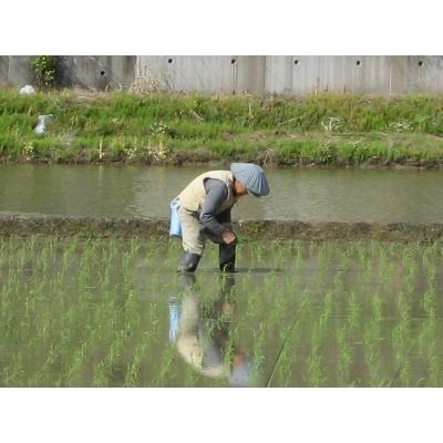 ふるさと納税 魚沼市 【令和7年産】雪室貯蔵米【無洗米】お米マイスター厳選1等米　魚沼産コシヒカリ100%2.5kg |  | 03