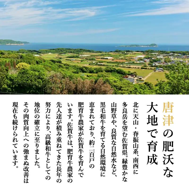 佐賀牛手造りハンバーグ 大小合計9個 140g×1個入×3袋(合計420g) 90g×2個入×3袋(合計540g) ハンバーグ