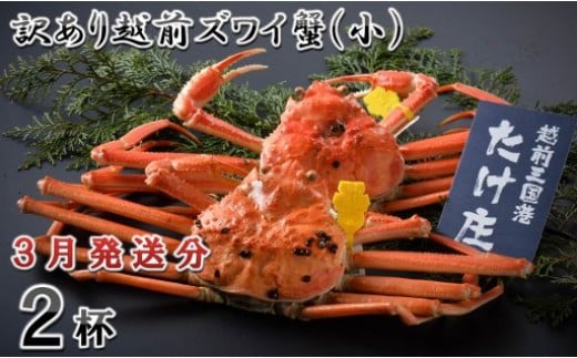 【電話連絡で安心】訳あり≪茹で≫越前ズワイ蟹(小) 2杯【2026年3月発送分】 [D-1601_03]