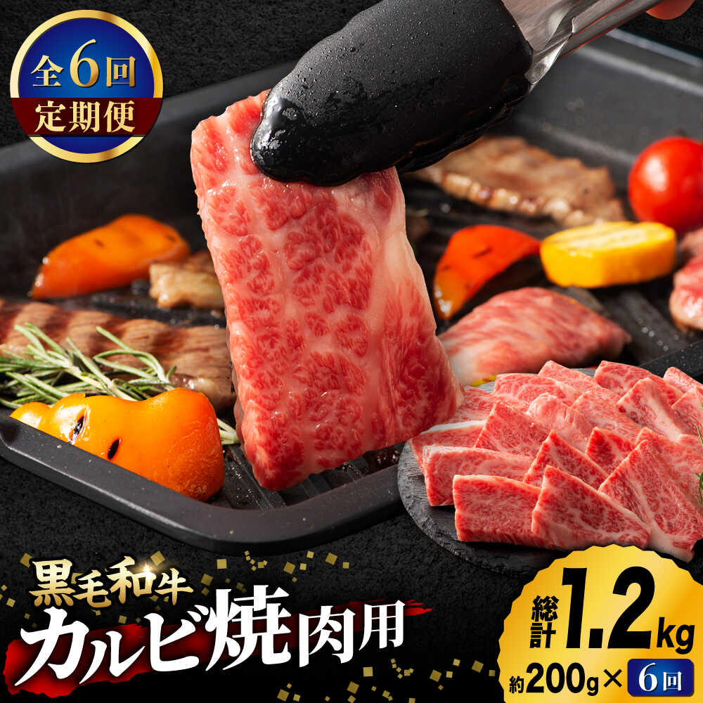 【ふるさと納税】【6回定期便】九州産 藤彩牛 バラ カルビ 焼肉用 1650 [ZDT058]