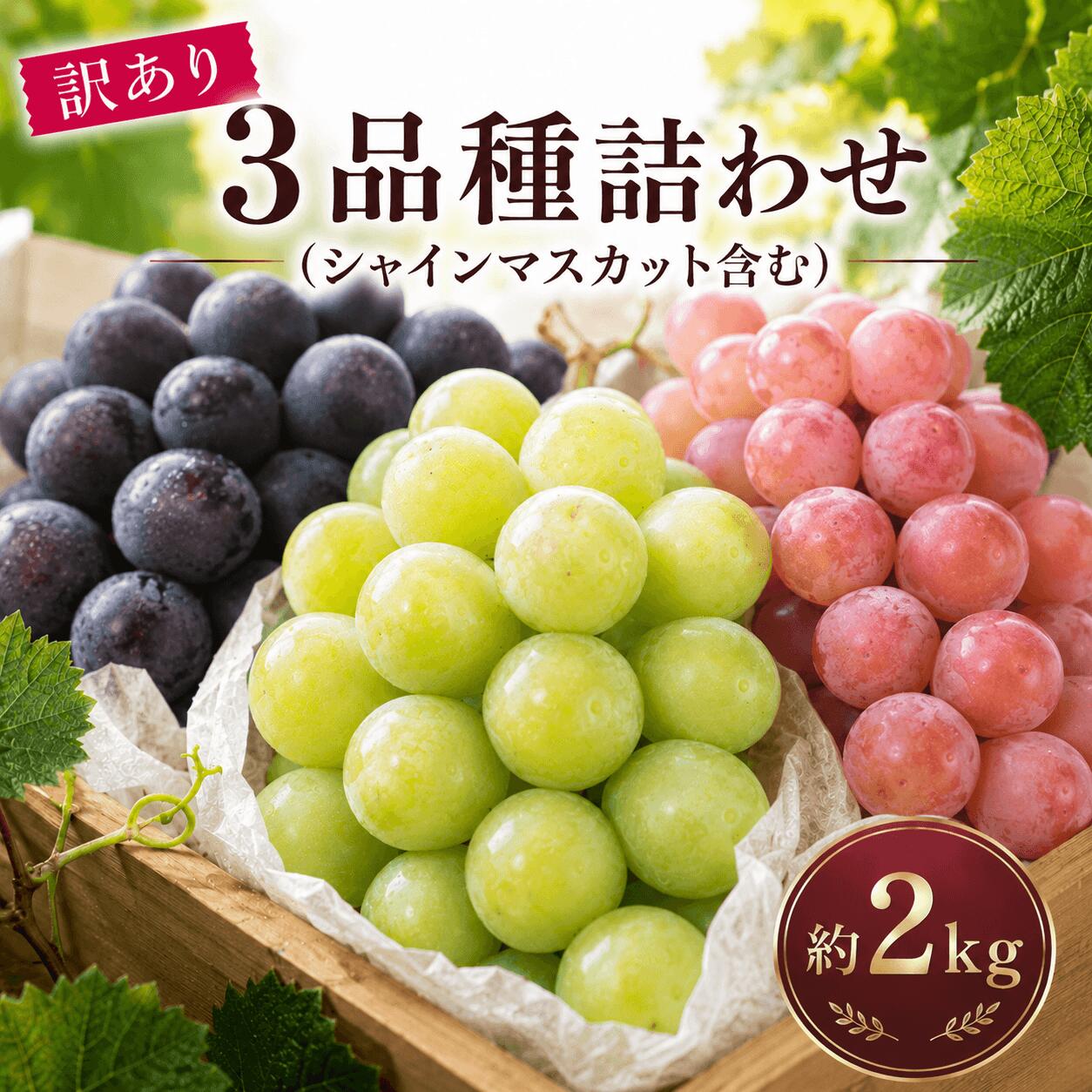 【ふるさと納税】3品種詰合せ 約2kg（チルド配送）《9月中旬-11月中旬出荷予定(土日祝除く)》広島県 神石高原町 果物 フルーツ ぶどう シャインマスカット 訳あり 送料無料