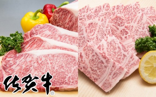 N-48 「佐賀牛」焼肉セット（ステーキ200g×4焼肉用700g）【チルドでお届け!】