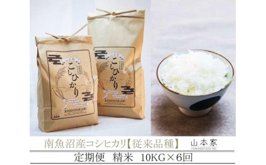 
                  【Ｒ7年産】【定期便】南魚沼産コシヒカリ精米10kg×６回 山本家【従来品種】【定期便 銘柄米 ブランド米 精米 こしひかり コシヒカリ 魚沼産 新潟米 産地直送 お米 米 こめ コメ ご飯 御飯 ごはん】
                