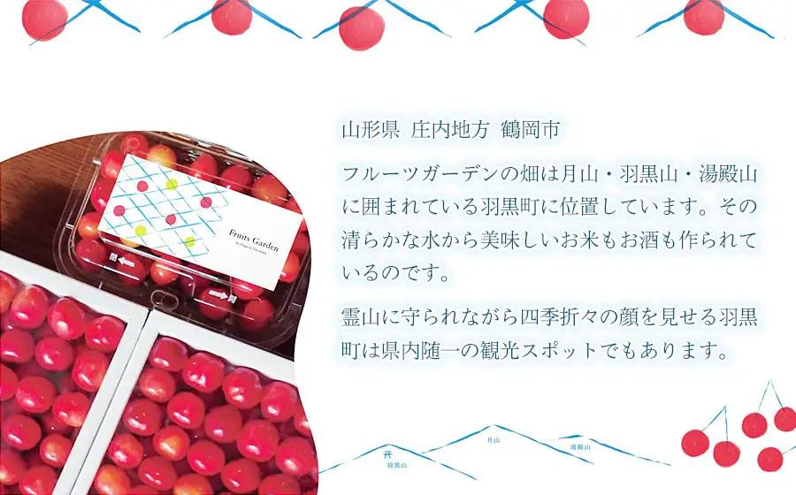 さくらんぼ 佐藤錦 バラ詰め L～2Lサイズ 1kg(500g×2) 山形県鶴岡市産 令和9年産 フルーツガーデン