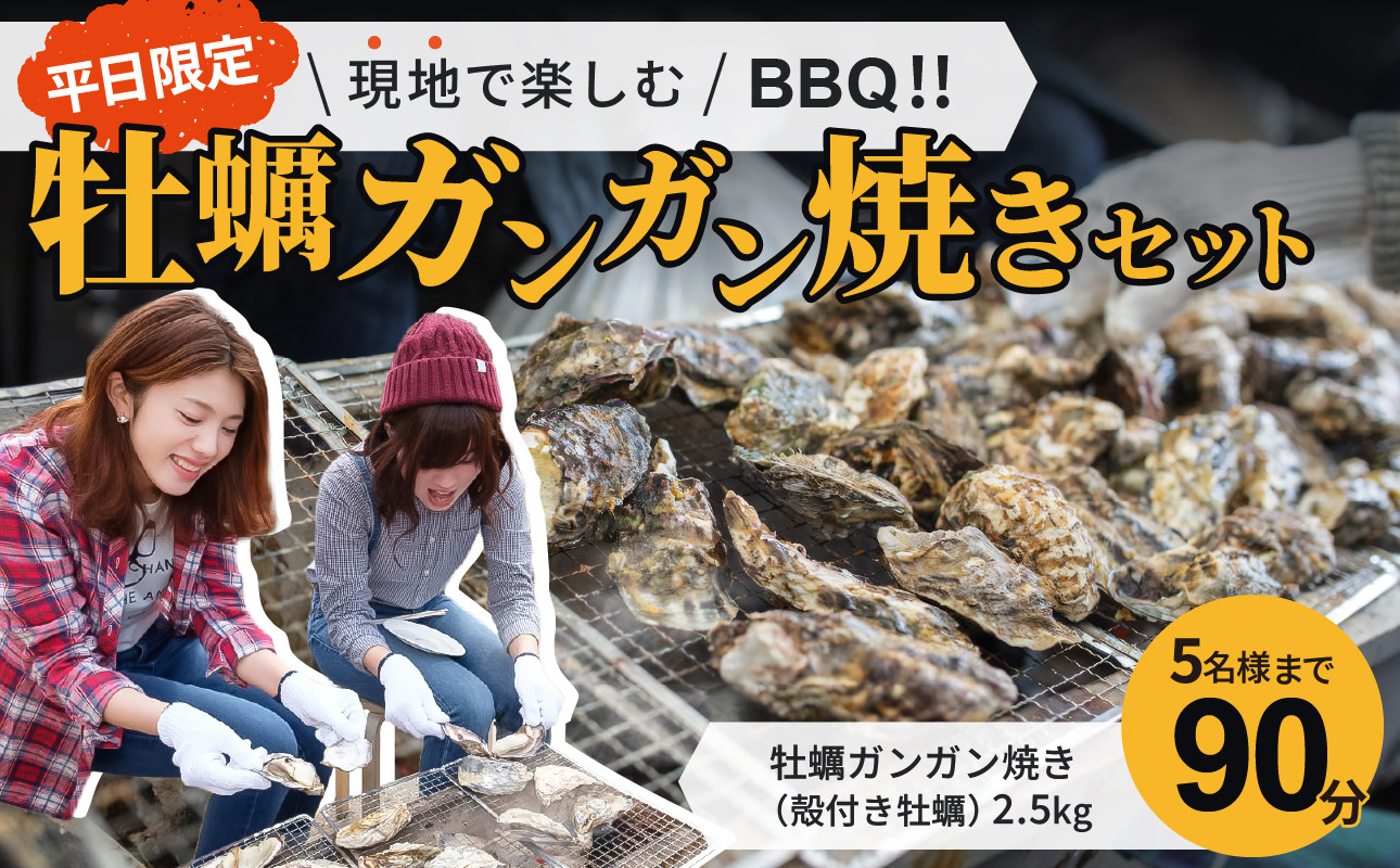 
            【平日限定】大人気！海鮮BBQ（5名様90分）と牡蠣ガンガン焼きセット
          