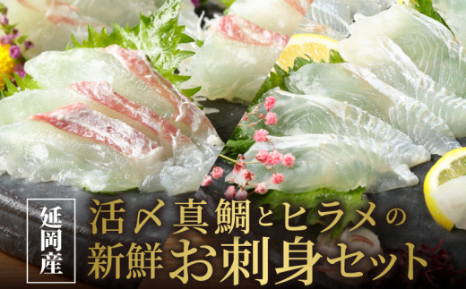 
豪華白身の饗宴！延岡産活〆真鯛とヒラメの新鮮お刺身セット　N019-ZB809 請関水産
