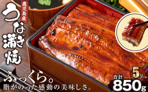2445 鹿児島産うなぎ170g×5尾 合計850g