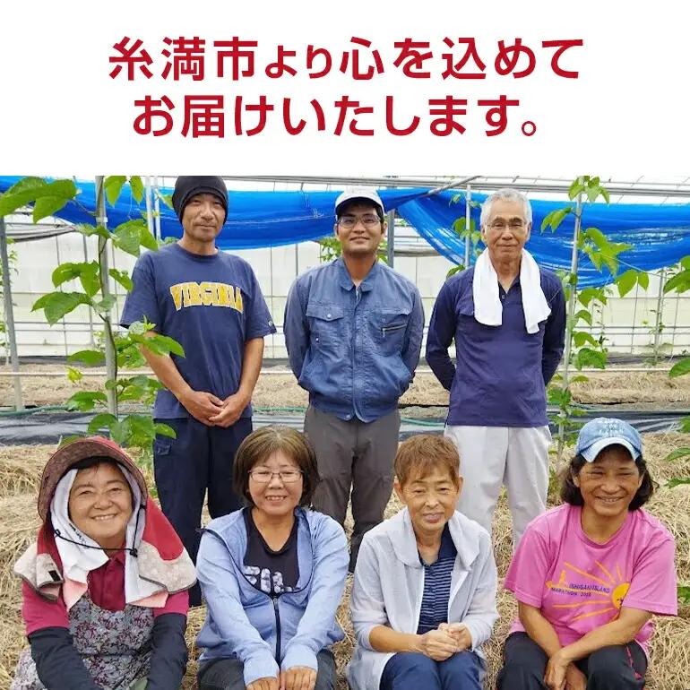 【 期間限定 2026年 発送】 糸満産 糸ちゃん パッションフルーツ 訳あり 3kg 数量限定 沖縄 家庭用 訳アリ 訳あり品 甘味 酸味 追熟 フルーツ 果物 トロピカル 南国 スイーツ デザート