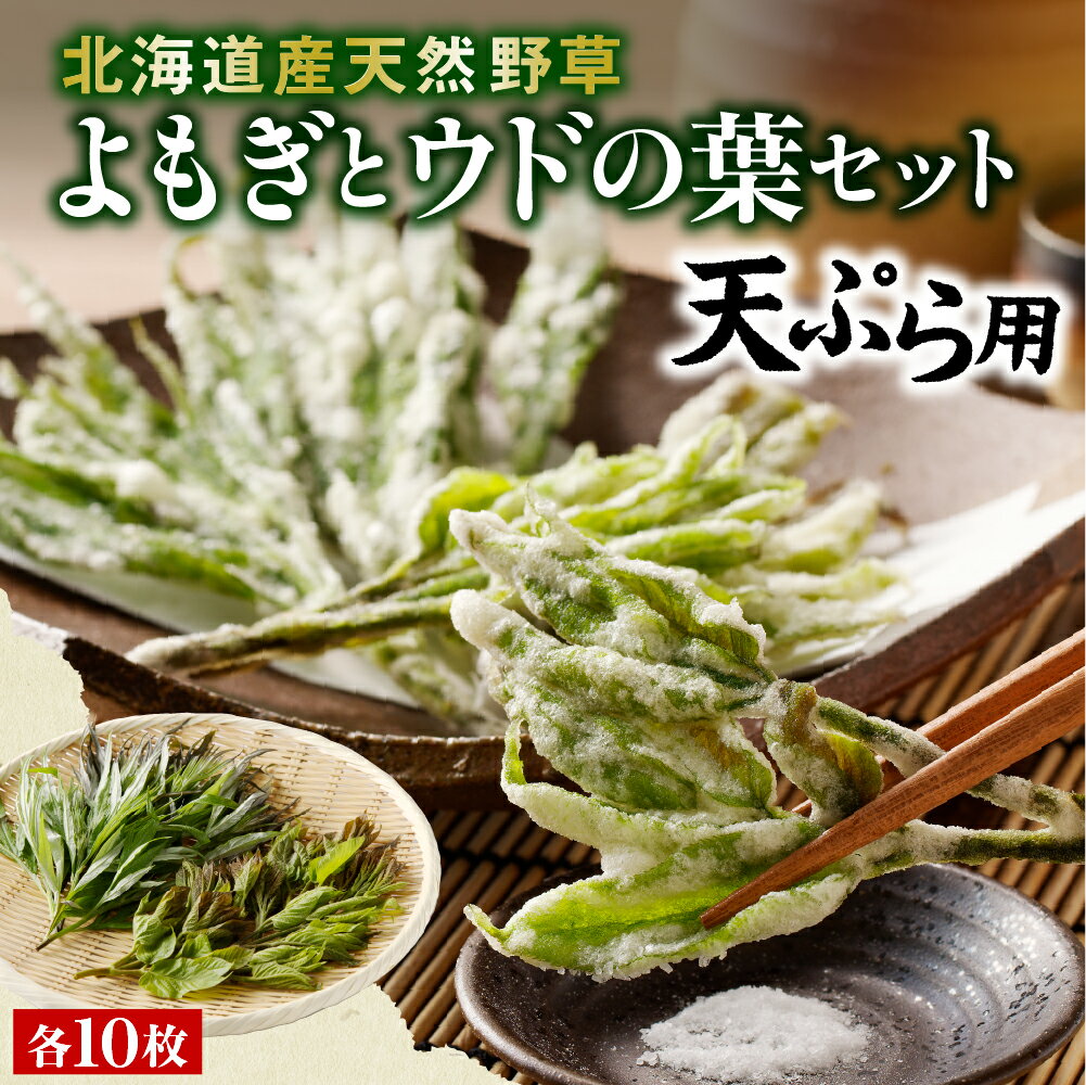 【ふるさと納税】【先行受付】【2026年5月発送】 天ぷら用 ヨモギとウドの葉セット 山菜 天然 冷蔵便 北海道 十勝 芽室町
