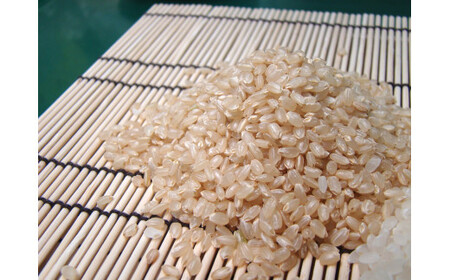 令和7年産ココシヒカリ 「聖米」 玄米 5kg