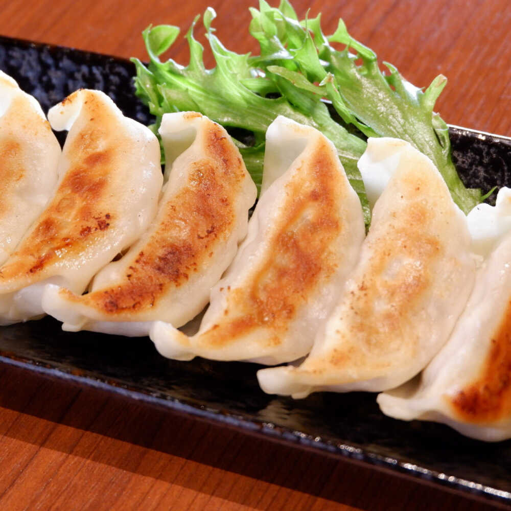 【ふるさと納税】熊本 和牛 あか牛 ぎょうざセット 60個 熊本 赤牛 褐牛 あかうし 褐毛和種 和牛 肥後 冷凍 国産 九州産 熊本産 合志市 牛肉 餃子 ギョウザ ぎょうざ 惣菜 おかず 夕飯【有限会社 三協畜産】[AYCQ003]