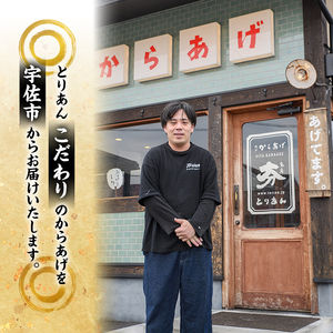 ＜からあげグランプリ最高金賞＞宇佐 とりあんのからあげ3点セット(合計1.1kg・3種)から揚げ からあげ 簡単 冷凍 惣菜 お弁当 おかず おつまみ 揚げるだけ セット【1035100100】【BO