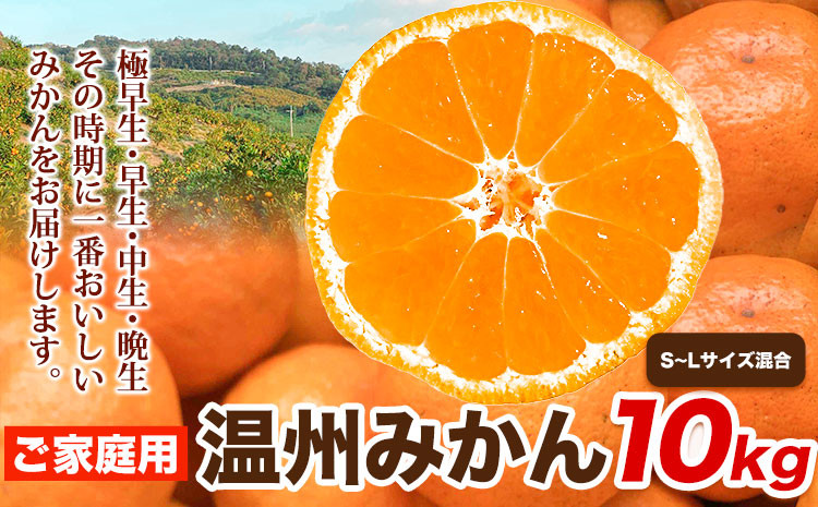 
            ご家庭用 温州みかん 10kg (S～Lサイズ混合) 和田果樹園【先行予約】《2025年11月上旬-2026年2月上旬頃出荷》 和歌山県 紀の川市 みかん ミカン 果物 フルーツ 温州みかん ご家庭用 送料無料
          