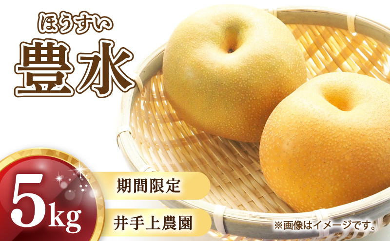 
            【先行予約 産地直送】川崎町産「豊水梨」5kg【2026年9月頃から発送】福岡県 川崎町【井手上農園】【梨 なし ナシ nasi 豊水 ほうすい ホウスイ 季節限定 数量限定 フルーツ 果物 豊水梨 ほうすいなし ホウスイナシ housuinasi】人気 おすすめ 
          