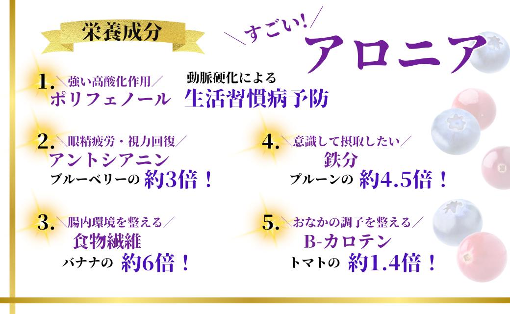 【先行予約】アロニア (ブラックベリー) 1kg 冷凍 フルーツ｜石川県 小松市