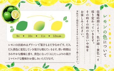 レモン 国産 マイヤーレモン 約3kg 15～20玉【吉田レモニー】【2024年9月下旬～2025年6月上旬発送】国産レモン 宇城市産レモン 熊本県産レモン グリーンレモン 黄色レモン