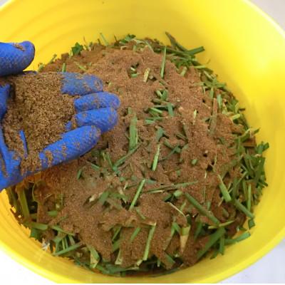 ふるさと納税 花巻市 岩手県花巻市 家庭菜園が楽しくなる!生ゴミ処理剤「EMぎんが」1kg×4袋 |  | 02