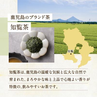 ふるさと納税 鹿児島市 【5営業日以内に発送】知覧茶ゆたかみどり8袋セット　K111-014 |  | 01