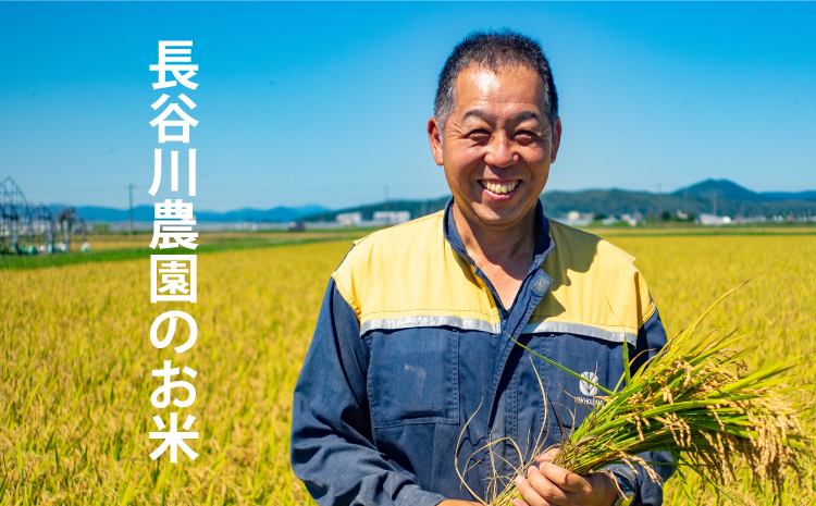 玄米 彩 あや 150g 北海道米 こめ 1000円台  2000円 3000円 当麻町 長谷川農園 北海道産 北海道米【B-013】