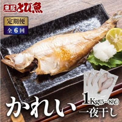 ふるさと納税 若狭町 【2ヵ月毎定期便】かれい一夜干し 1Kg(5〜8尾)全6回
