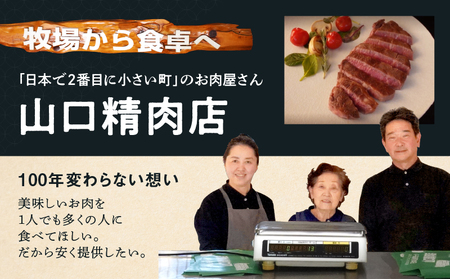 国産牛 スライス モモ バラ しゃぶしゃぶ用 約400g(真空パック) 冷凍 山口精肉店