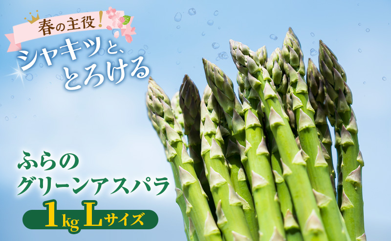 【2027年春発送】富良野産 グリーンアスパラ Lサイズ 約1kg アスパラ 野菜 アスパラガス