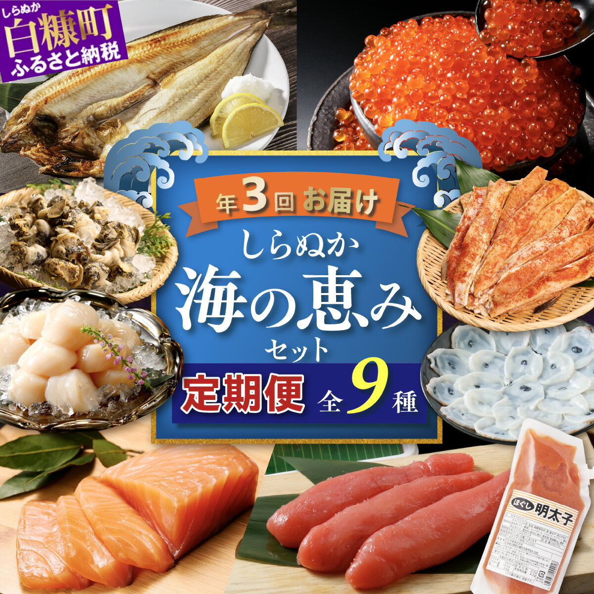 【ふるさと納税】【定期便】 年3回お届け しらぬか海の恵みセット'24'25 (年3回定期便) ふるさと納税 海鮮 魚 頒布会 詰合せ 海鮮食品 魚介類 魚介 人気 北海道 白糠町