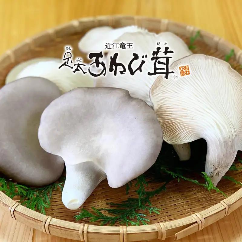 特選 竜王 足太あわび茸 生 1kg