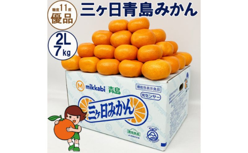 三ヶ日青島みかん【優品】2Lサイズ 7kg (40個前後) ミカン 果物 くだもの フルーツ 甘い 静岡 浜松市【配送不可：北海道・沖縄・離島】