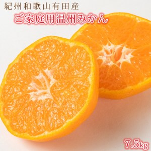 【ご家庭用訳あり】紀州和歌山有田産温州みかん7.5kg ※2024年11月下旬〜2025年1月下旬頃に順次発送予定