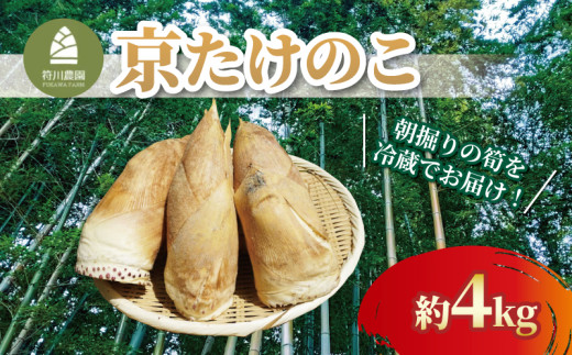 朝掘り京たけのこ 約4kg 冷蔵 朝掘り 筍 たけのこ タケノコ 竹の子 白子筍 白子たけのこ 国産 野菜 甘み 糖分 人気 おすすめ 京都 八幡 符川農園