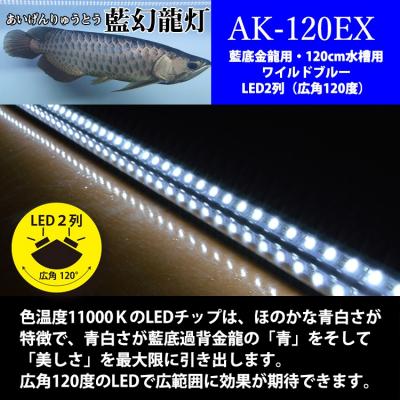 ふるさと納税 小牧市 一瞬で綺麗に魅せる!金龍の青を最大限に強調する水中LEDライト|AK120-EX[172C18] |  | 01