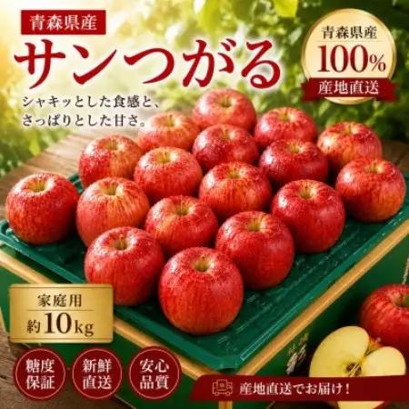 【青森県産】秋が旬サンつがる / 家庭用 約10kg【配送不可地域：離島】【1777978】