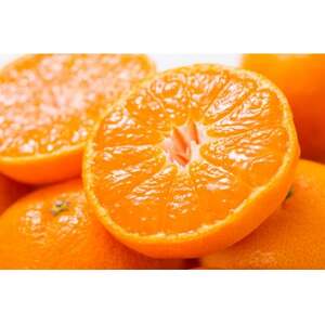 有田みかん 秀品 [約2.8kg]LMS【サイズおまかせ】/薄皮で甘い美味しいみかん 産地直送【1543800】