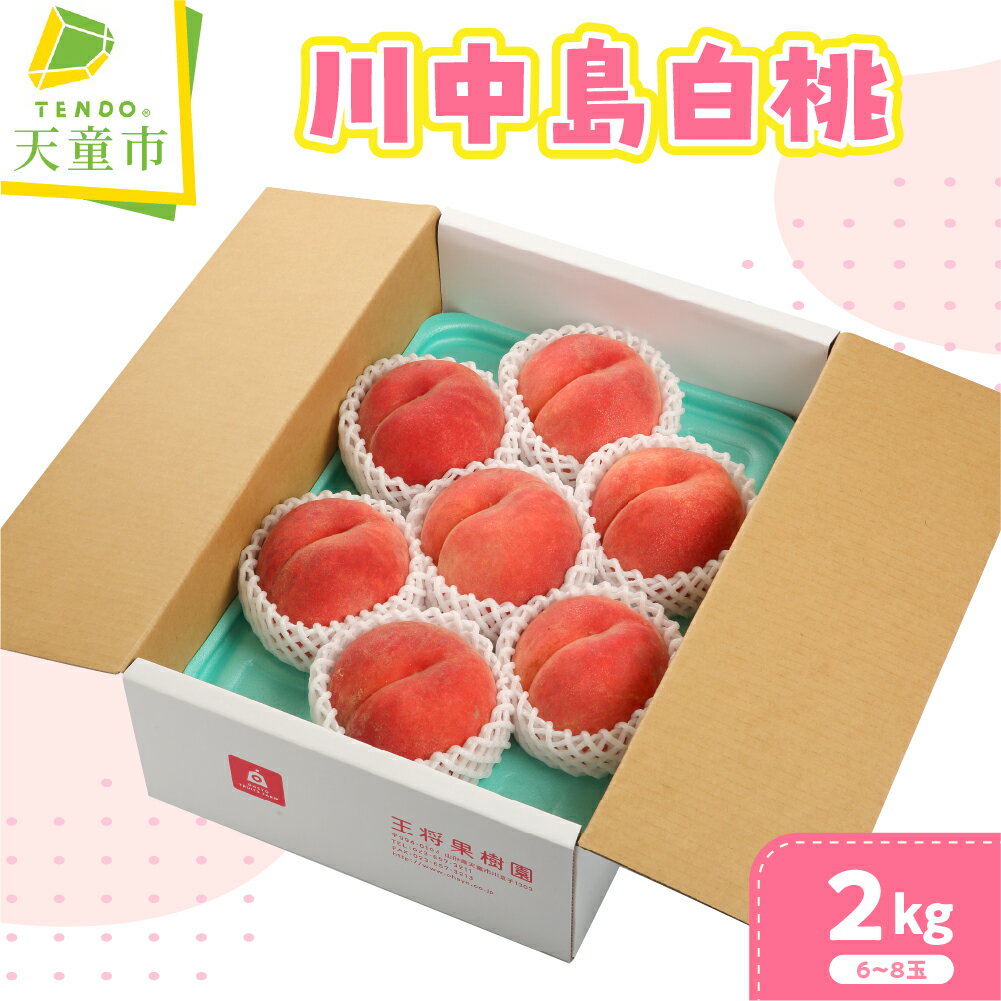 【ふるさと納税】もも ( 川中島白桃 ) 2kg 山形県産 桃 白桃 果物 フルーツ 秀品 6～8玉 ご家庭用 のし 贈答 ギフト おすそ分け 旬 夏 秋 期間限定 冷蔵便 送料無料 先行予約 【 山形県 天童市 】