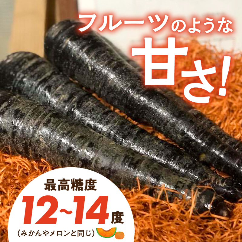 【期間限定】おどろきの甘さと抗酸化力！　黒人参『黒王』5Kg　にんじん スーパーフード 健康 メロン みかん 甘い 糖度 ジュース 自慢 カラフル ブラック キャロット 農作物 自然 野菜 老化防止 