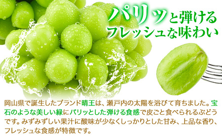 【2026年発送先行予約】【2ヶ月定期便】ぶどう シャインマスカット 晴王 約700g(1房入り)×2ヶ月定期便 満天フルーツ《2026年9月上旬-10月末頃出荷》岡山県 浅口市 マスカット フルーツ